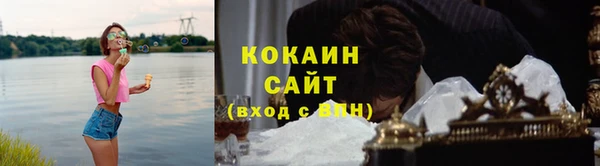 ешки Осинники