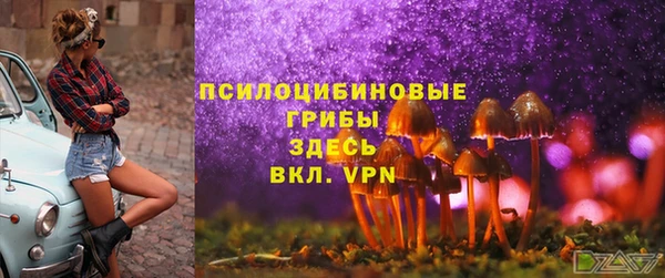 круглые Арсеньев