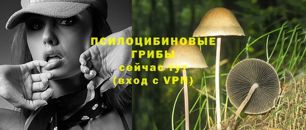 круглые Арсеньев